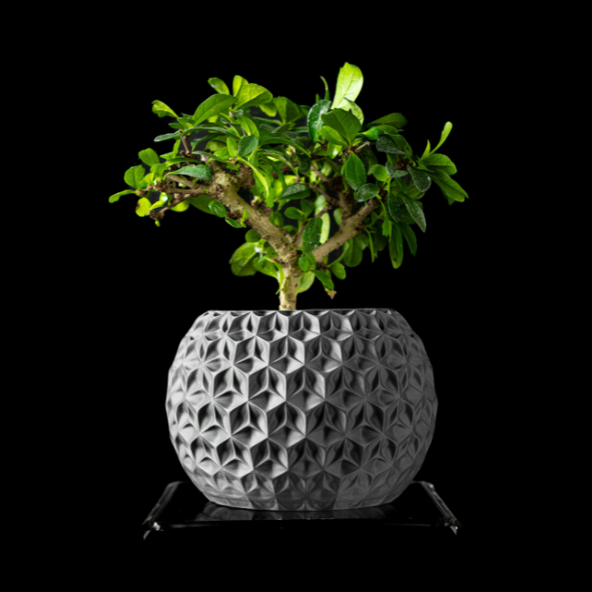 Obsidian-Nest__table-planter__Gray