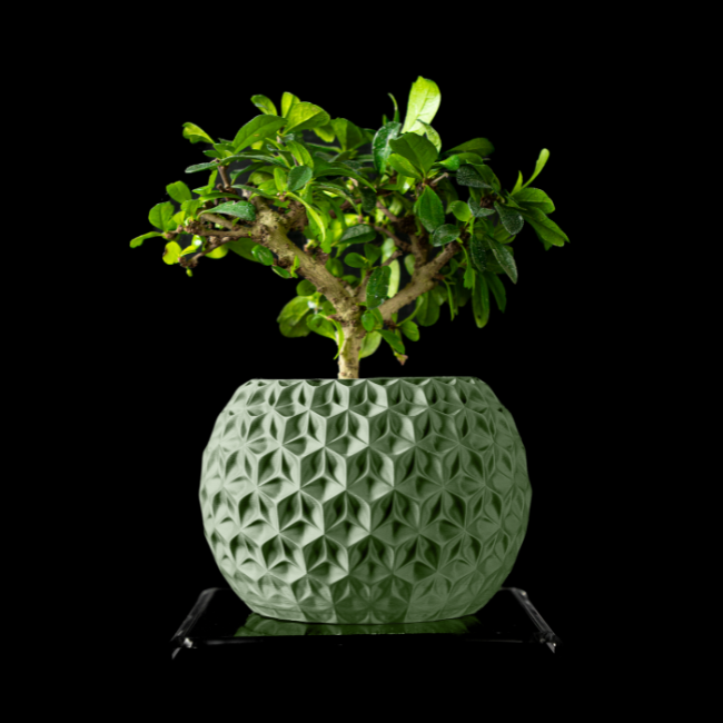 Obsidian-Nest__table-planter__Sage Olive