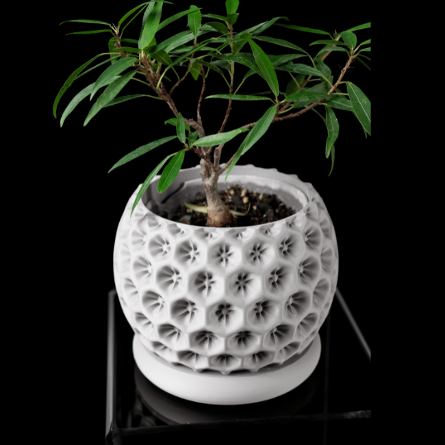Sage-Orb__Table-Planter__White