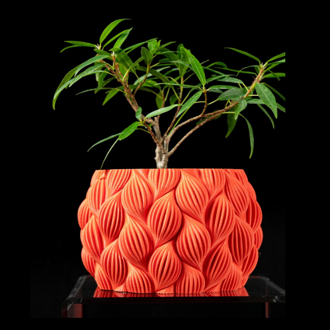 Coral Curl Table Planter