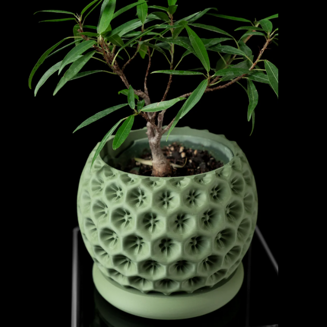Sage-Orb__Table-Planter__Sage Olive