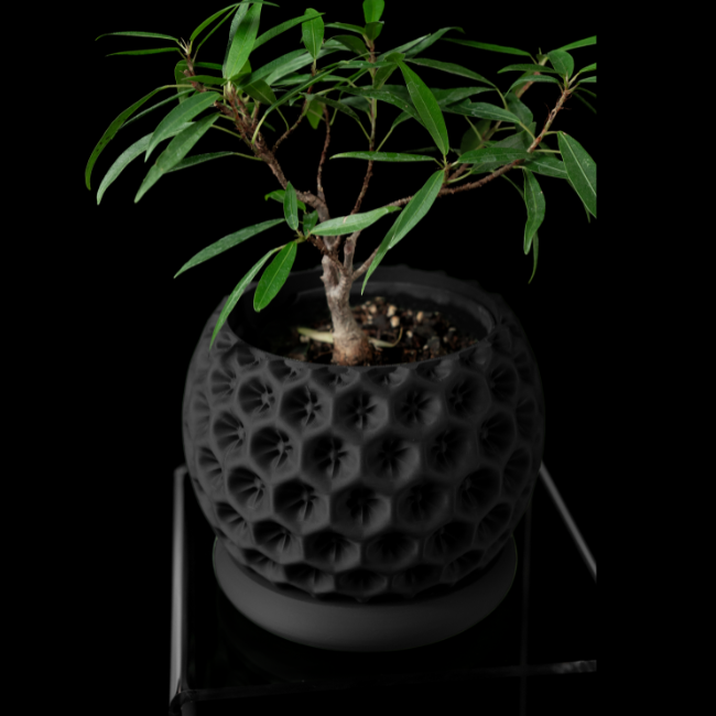 Sage-Orb__Table-Planter__Black
