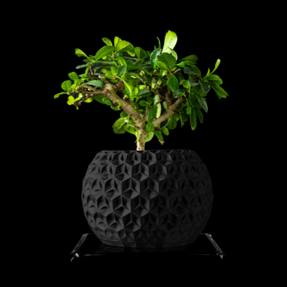 Obsidian-Nest__table-planter__Black