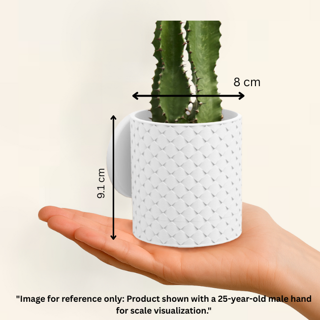 Charm__Wall-Planter__White