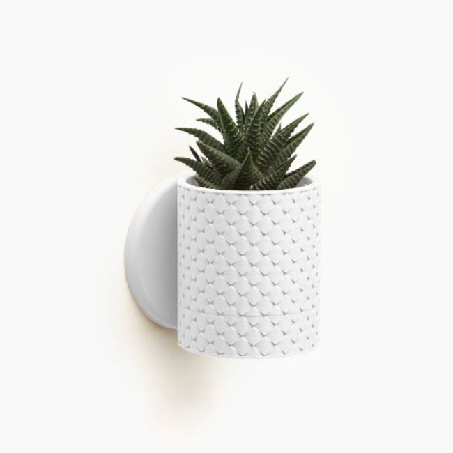 Charm__Wall-Planter__White
