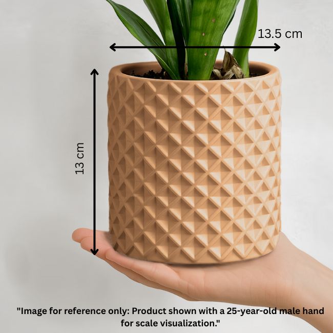 Criss-Craft__Wall-Planter__Beige