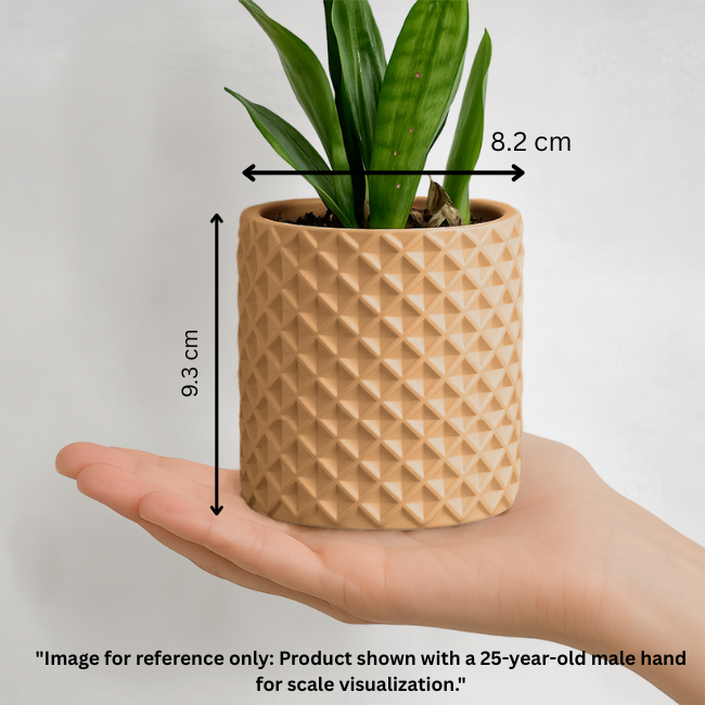 Criss-Craft__Wall-Planter__Beige