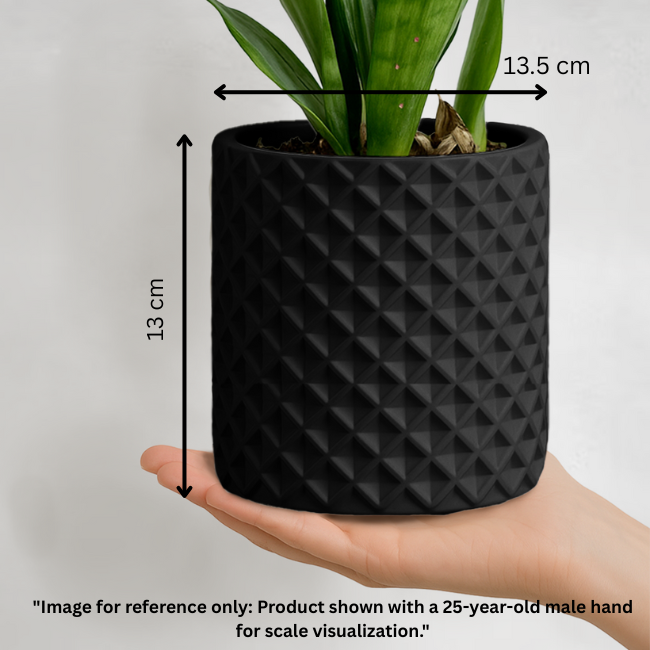 Criss-Craft__Wall-Planter__Black