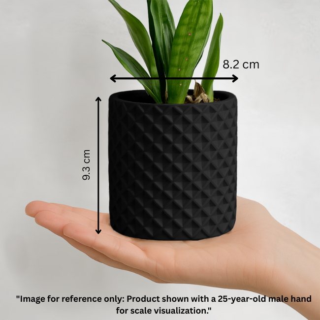 Criss-Craft__Wall-Planter__Black