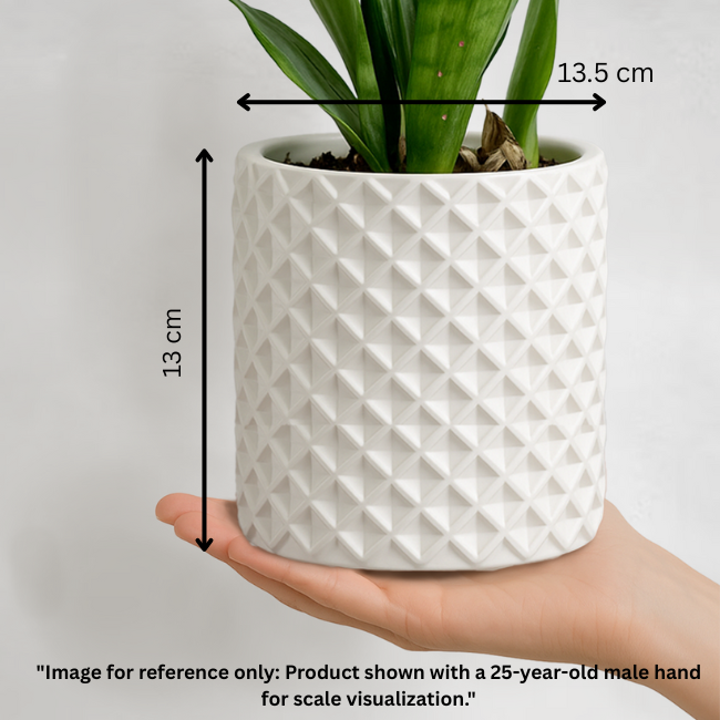 Criss-Craft__Wall-Planter__White