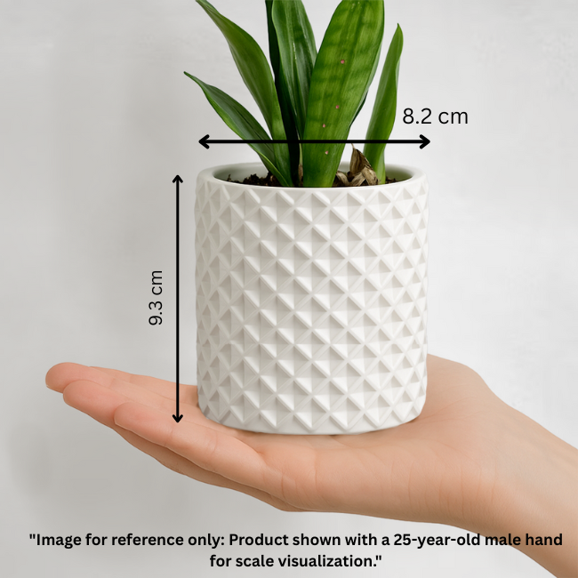 Criss-Craft__Wall-Planter__White