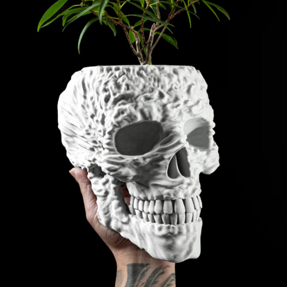 💀 Oblivion Root