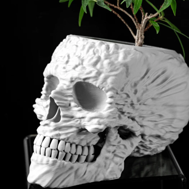 💀 Oblivion Root