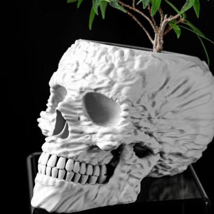 💀 Oblivion Root