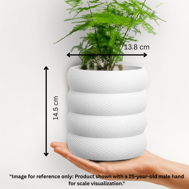 Terra-Loop__Wall-Planter__White