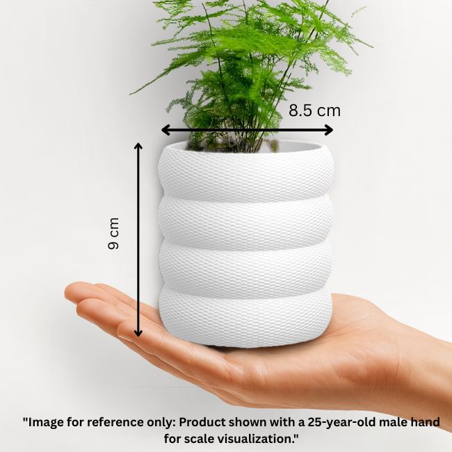 Terra-Loop__Wall-Planter__White