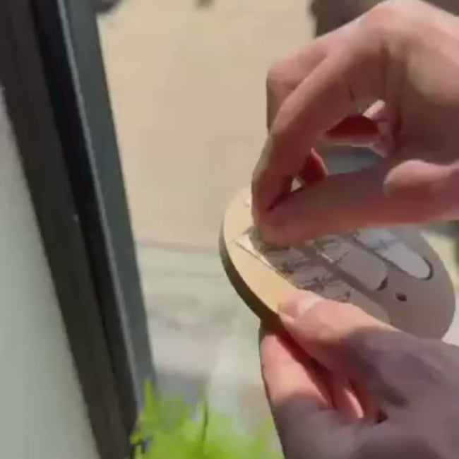 Terra-Loop__Wall-Planter__Beige